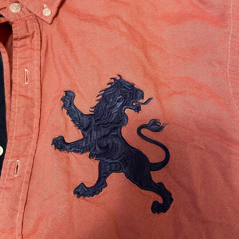 Express button down - Picture 2 of 5